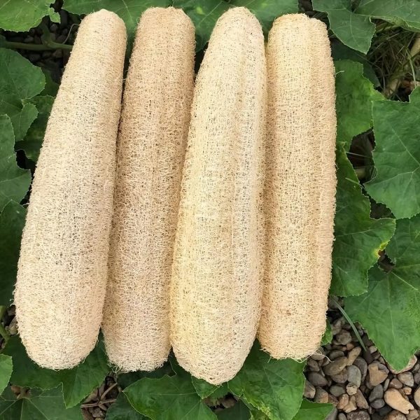 Natural Loofah Bath Scrubber Sponge